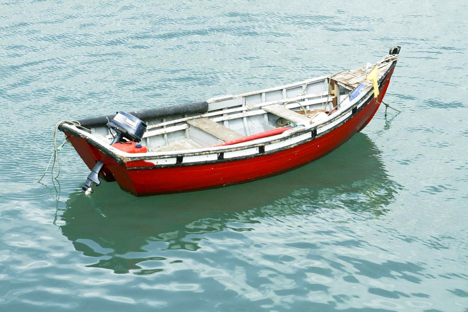 Filomuz — 2