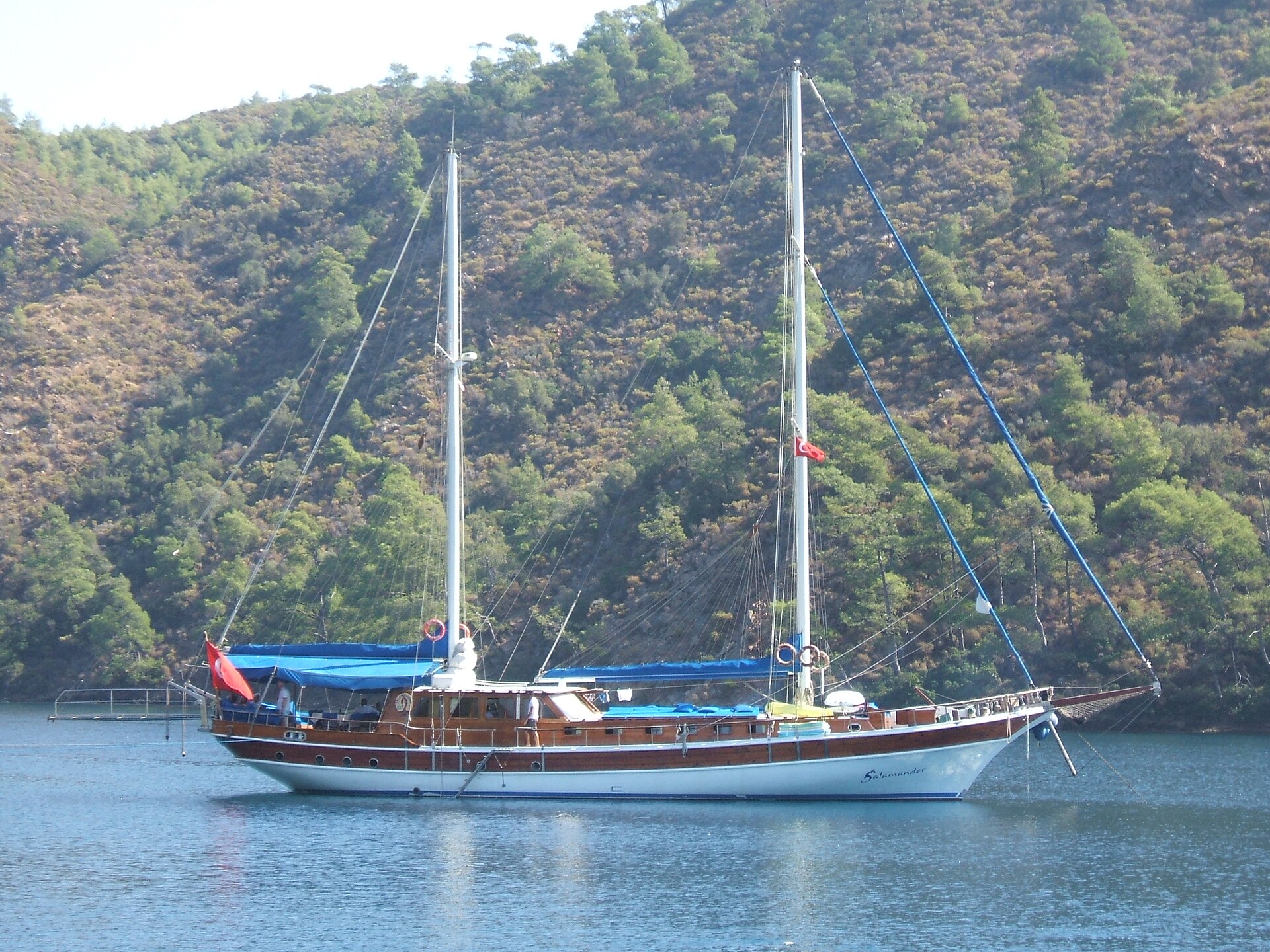 Körfez Rüzgârı